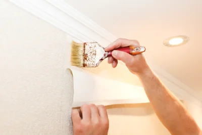 Pose de papier peint à Joannas — revêtements muraux et toiles de verre